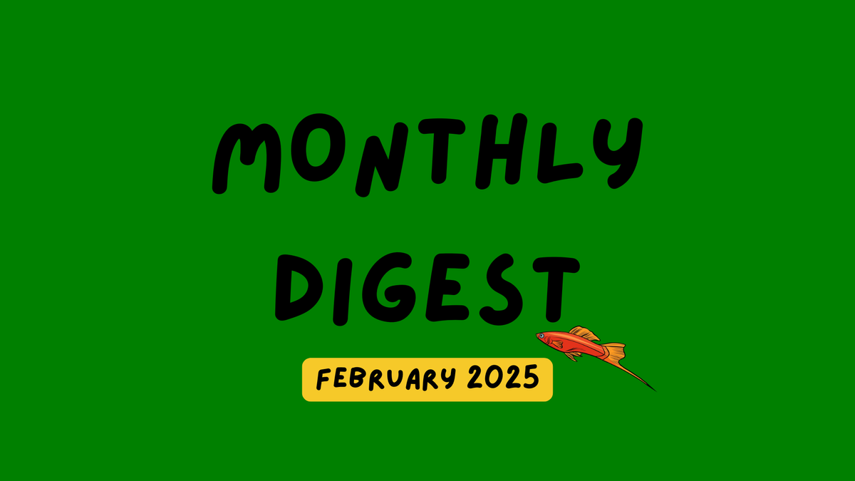 📰 Monthly digests: February 2025